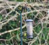 Photo of Siskin at Lee Common , Buckinghamshire. Taken by Don Stone on 24th December 2025.