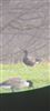 Brent Goose