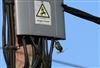 Photo of Blue Tit at Lee Common , Buckinghamshire. Taken by Don Stone on 12th April 2026.
