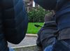 Photo of Boat-tailed Grackle at Holbury, Hampshire. Taken by Ben Hayward on 15th November 2025.